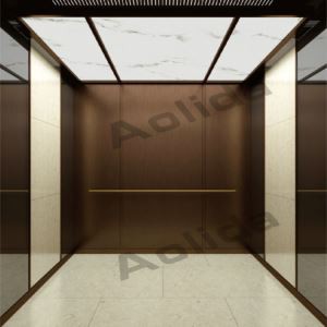 Jigarrang sochlar uchun zanglamas po'latdan yasalgan yo'lovchi lifti