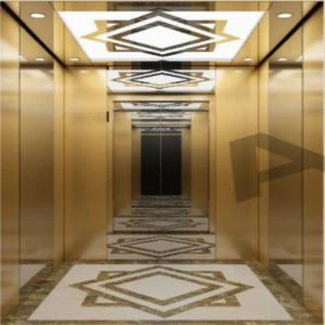 Titanium Gold Mirror zanglamaydigan po'latdan yasalgan villa lifti